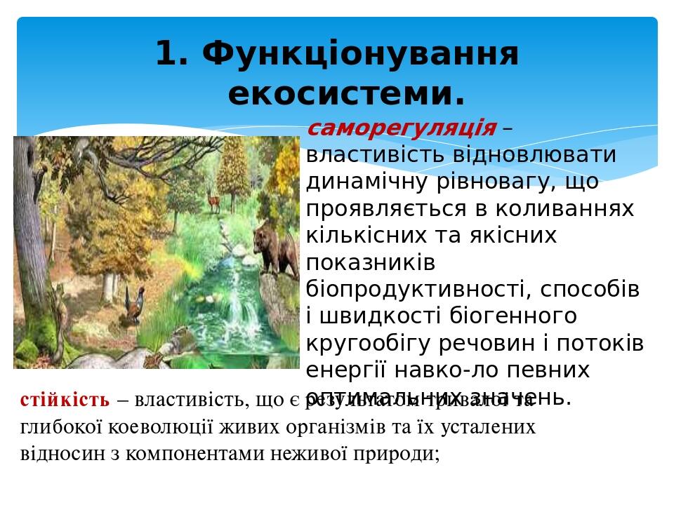 саморегуляція – властивість відновлювати динамічну рівновагу, що проявляється в коливаннях кількісних та якісних показників біопродуктивності, спос...