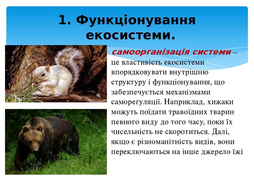 самоорганізація системи – це властивість екосистеми впорядковувати внутрішню структуру і функціонування, що забезпечується механізмами саморегуляці...