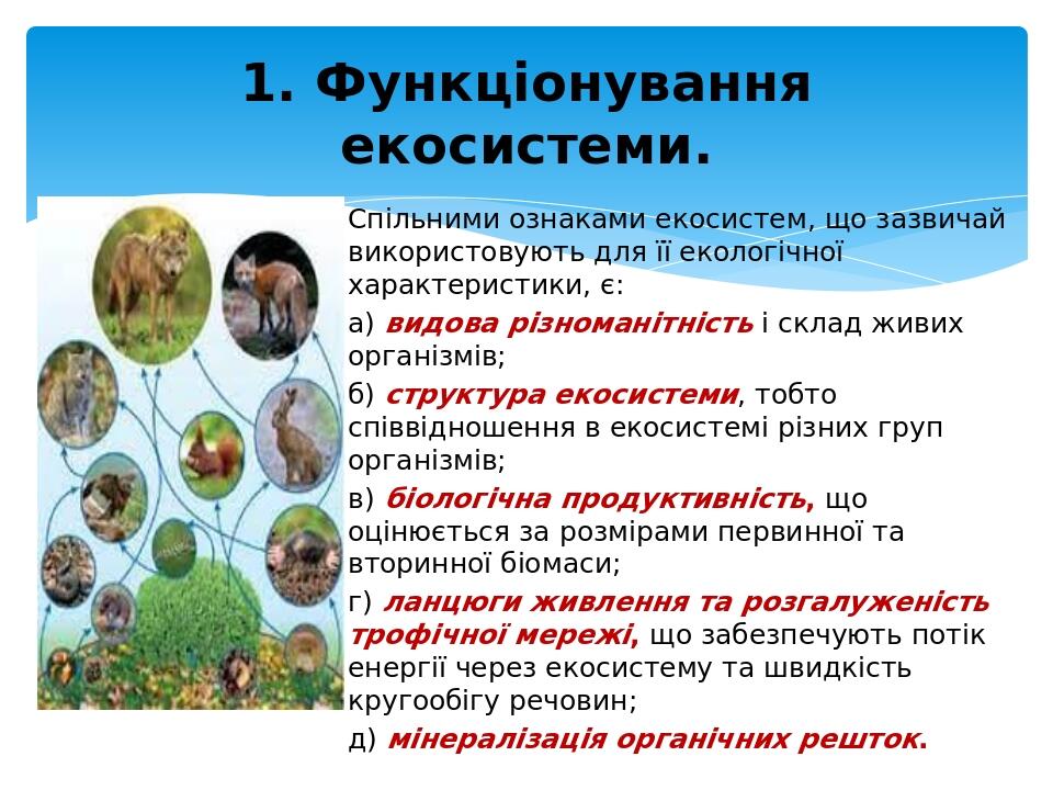 Спільними ознаками екосистем, що зазвичай використовують для її екологічної характеристики, є: а) видова різноманітність і склад живих організмів; ...