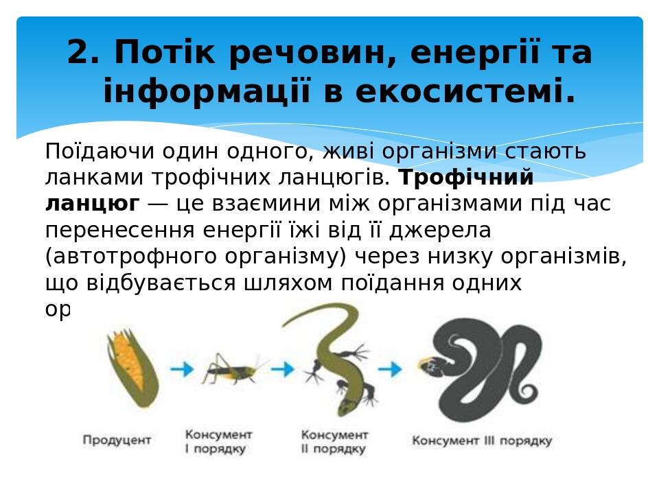 Поїдаючи один одного, живі організми стають ланками трофічних ланцюгів. Трофічний ланцюг — це взаємини між організмами під час перенесення енергії ...