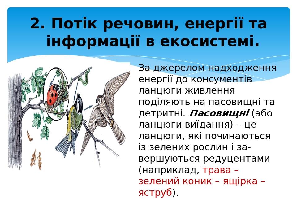 За джерелом надходження енергії до консументів ланцюги живлення поділяють на пасовищні та детритні. Пасовищні (або ланцюги виїдання) – це ланцюги, ...
