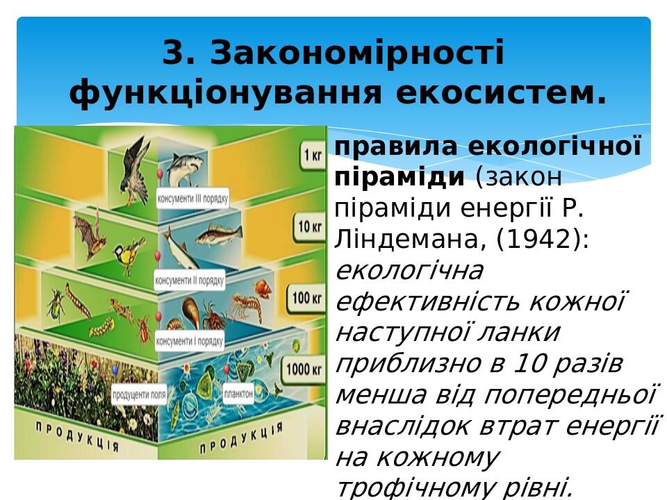 3. Закономірності функціонування екосистем. правила екологічної піраміди (закон піраміди енергії Р. Ліндемана, (1942): екологічна ефективність кожн...