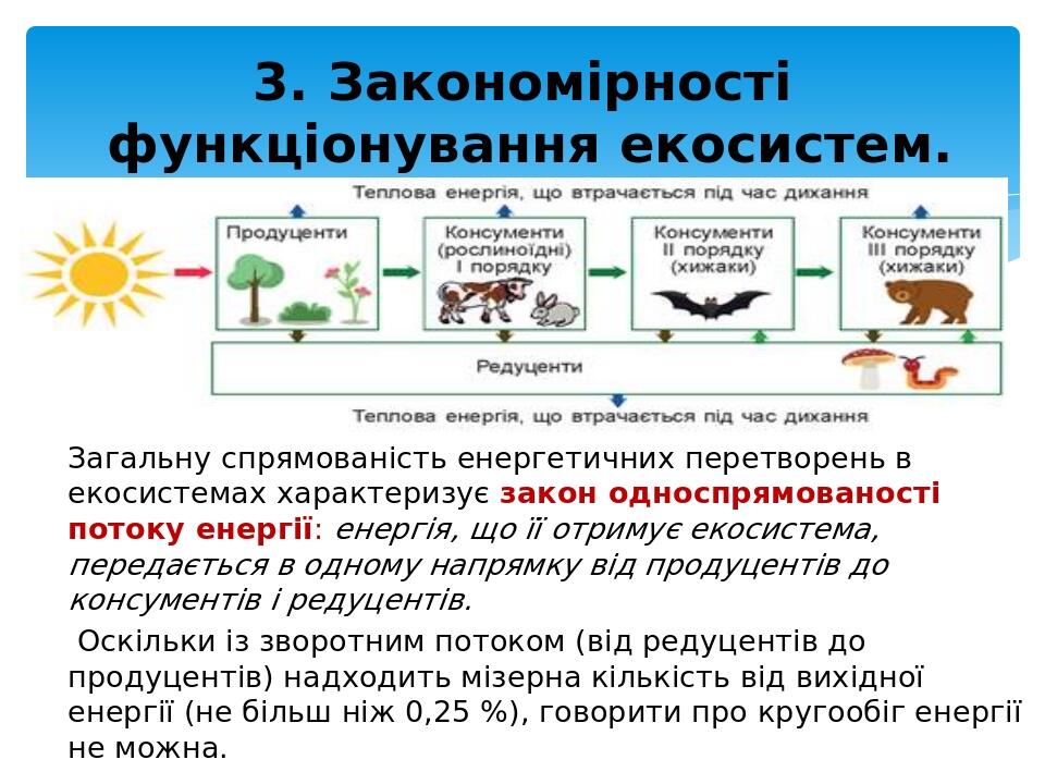 Загальну спрямованість енергетичних перетворень в екосистемах характеризує закон односпрямованості потоку енергії: енергія, що її отримує екосистем...