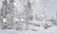0500szi8-6258-201x120.png