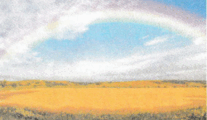 0500szk9-6156-207x120.png