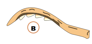 0500t0yb-3a11-314x151.png
