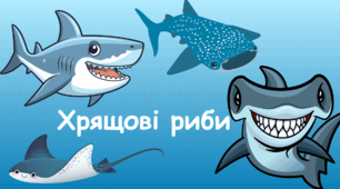 7 кл. Тест "Характеристика класу Хрящові риби"