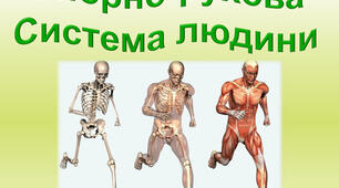 Контрольна робота 8 клас:"Опора і рух"