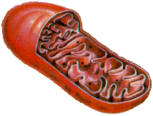 0500t3lu-da53-221x168.png