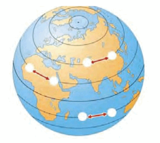 0500t3xk-8814-543x485.png