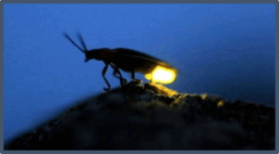 0500t4y7-70dd-256x142.png