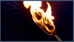 0500t4ya-49a6-261x149.png