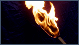 0500t515-48fe-255x145.png