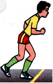 0500t56h-a635-178x278.png