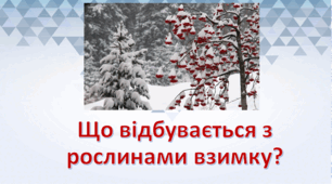 Презентація "Що відбувається з рослинами взимку?" 1 клас