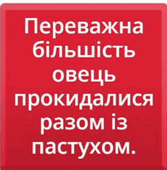 0500t6kz-7af1-243x247.png