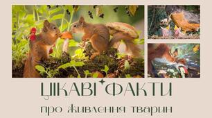 Презентація "Живлення тварин - цікаві факти"