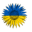 Арабаджи Яна Володимиоівна