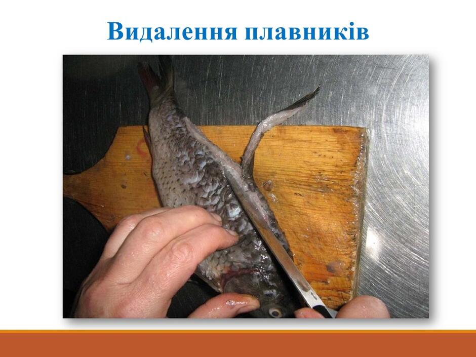 0500tcjo-a71a-940x705.jpg