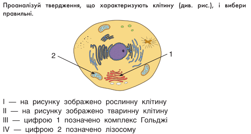 0500tez3-8171-816x438.png