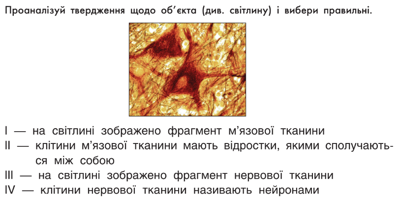 0500tezr-c310-817x405.png