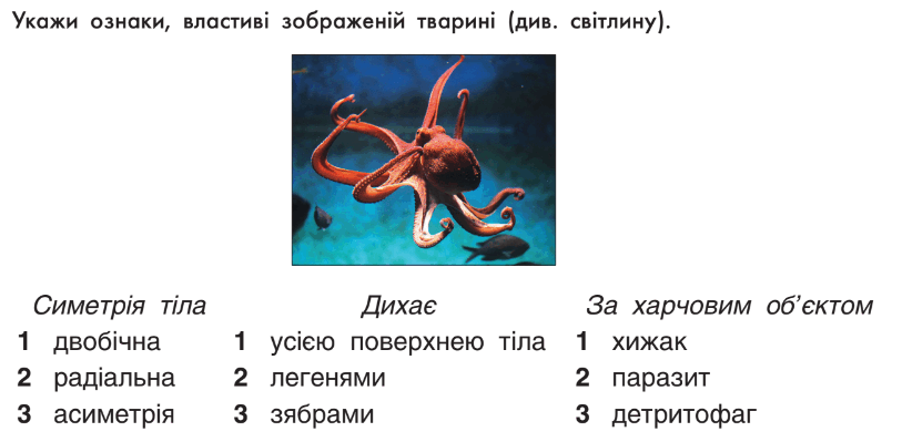 0500tf0t-4414-813x399.png