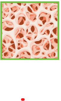 0500tfrw-8b9f-202x335.png