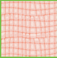 0500tfs9-4d5b-188x191.png