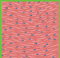 0500tft1-4843-192x187.png