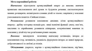Конспект корекційно-розвивального заняття з дошкільниками на розвиток мовлення "У бабусиному дворі" (свійські птахи)