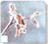 0500tjw5-b07b-467x435.png