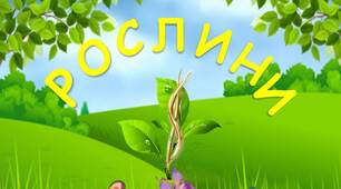 Гра "Упізнай, чий плід"