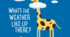 Позакласний захід з англійської мови для 5 класу на тему “What’s the weather like?”