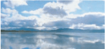 0500towc-e039-337x157.png