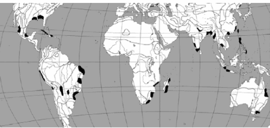 0500tp8v-9710-554x262.png