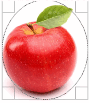 0500tr81-b968-182x210.png