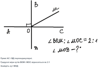 0500tt0p-74e9-353x236.png