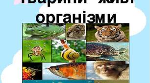 Тварини та їхнє середовище існування