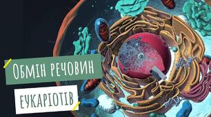 Особливості обміну речовин в автотрофних організмів.