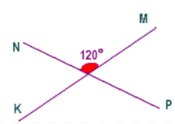 0500txop-6696-175x124.png