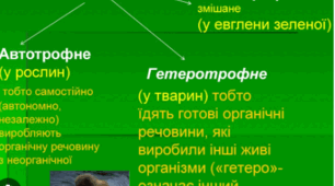  Обмін речовин та енергії. Особливості обміну речовин в автотрофних та гетеротрофних організмів. Енергетичне забезпечення процесів метаболізму.