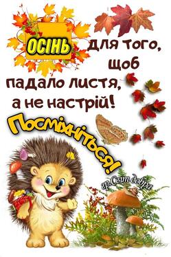 0500u3i8-53cc-249x374.jpg