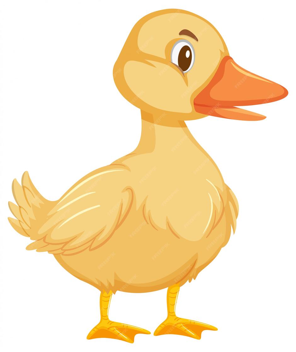 Premium Vector | One cute duck