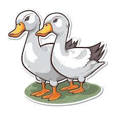 Two Ducks Clipart Images | Free Download | PNG Transparent Background - Pngtree