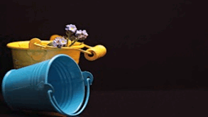 0500u4pj-4550-293x166.png