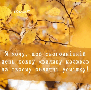 0500u51b-92c9-373x370.png