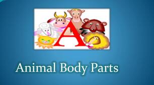 Презентація з англійської мови  ANIMAL BODY PARTS