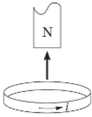 0500u5yd-2426-132x167.png