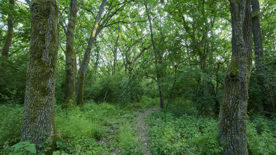 0500u7v4-90b0-940x529.png