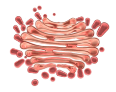 0500u8px-9d8c-228x181.png